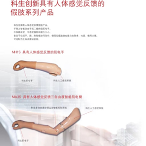 具有人体感觉反馈的智能仿生假肢